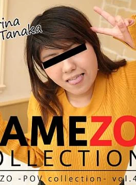 HZ-3075 HAMEZO -POV collection- vol.49 – Karina Tanaka HAMEZO POV Collection vol.49 – Karina Tanaka