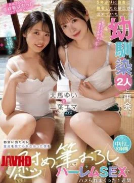 MIAB-393 When I Went Back To My Hometown For The First Time In Five Years,