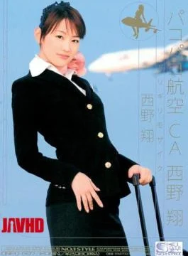 ONED-697 Barely Censored Bumping Airline CA Sho Nishino