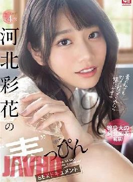 SSIS-222 Studio S1 NO.1 STYLE Re: Start! Chapter 4 Saika Kawakita’s’Elementary’SEX Document