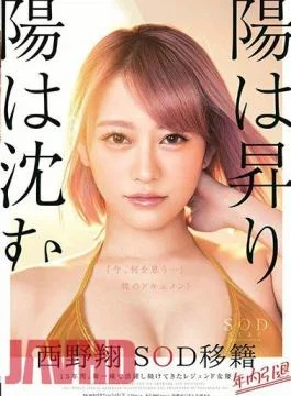STARS-113 The Sun Rises And The Sun Sinks Sho Sho Nishino Resigned Within The Year